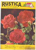 RUSTICA. 1956. N°47. La Rose Tropique - Garden
