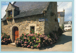Ile D'Arz Maison Du Bourg Hortensias - Ile D'Arz