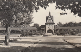 Bad Saarow - Bahnhof 1964 - Bad Saarow