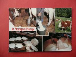 CPM  DE PATURAGES EN FROMAGE  MULTI VUES  VACHES INDUSTRIE LAITIERE EN FRANCHE COMTE  VOYAGEE 1980 - Paysans