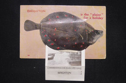 ROYAUME UNI - Carte Postale De Brighton , Carte Poisson Avec Vues Avec Système - L 91353 - Brighton