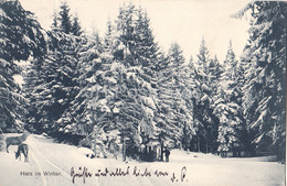 Harz Im Winter - Old Postcard - 1915 - Germany - Used - Schierke