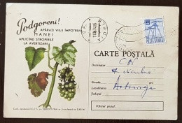 ROUMANIE, Vigne Et Vin, Lettre Publicitaire Emise En 1964 Et Ayant Circulée - Vini E Alcolici