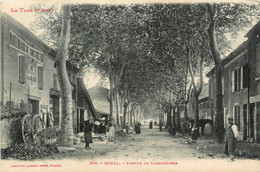 Soual * Avenue De Labruguière * Matériaux De Construction Jules BLANC * Charron * Villageois - Autres & Non Classés