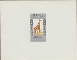 Maroc 1956. Épreuve, Timbre Non émis, Remplacé Par Un Timbre D'usage Courant à L'effigie De Mohammed V. Girafe - Giraffes