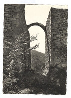 H449 - OPPEDE LE VIEUX - Sous Le Deuxième Pont Levis Du Château - Oppede Le Vieux