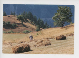 "Fenaison En Montagne, Foin, Femme Paysanne" Christian Dumont Photographe (concours Anniversaire 25è As De Coeur) - Paysans