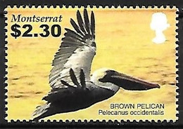 Montserrat - MNH ** 2005 :  Brown Pelican  -  Pelecanus Occidentalis - Pelikane
