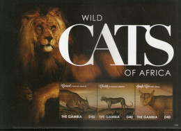 Gambia 2013 Wild Cats Lion Leopard Wildlife Animals Sc 3423 M/s MNH # 7912 - Sonstige & Ohne Zuordnung