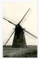 D824 Ruiselede - Foto In De Maat Van Een Kleinformaat Kaart - Molen - Moulin - Mill - Mühle - - Ruiselede