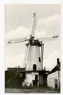 D825 - Ruiselede Knokmolen - Kleinformaat Kaart - Molen - Moulin - Mill - Mühle - - Ruiselede