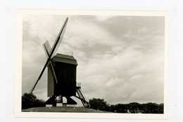 D830 - Herzele - Arr Aalst - Foto Ong 8x12cm - Molen - Moulin - Mill - Mühle - - Herzele