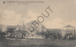 DIEPENBEEK - Pensionnat Des Religieuses Ursulines - Vue Prise Du Jardin   (C575) - Diepenbeek