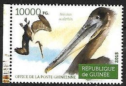 Guinea (Guinée) - MNH ** 2015 :    Brown Pelican   - Pelecanus Occidentalis - Pelikanen