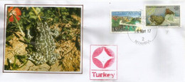 Crapaud & Grenouille De Turquie.  Sur Lettre D'Istanbul - Cartas & Documentos