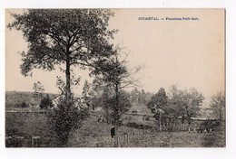 59 - JOUBIEVAL - Panorama Petit - Sart - Lierneux