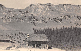 Praz Sur Arly             74             Vue Prise De L' Hôtel          (voir Scan) - Other & Unclassified