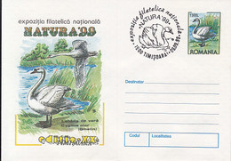 ANIMALS, BIRDS, MUTE SWAN, COVER STATIONERY, ENTIER POSTAL, 1999, ROMANIA - Cygnes