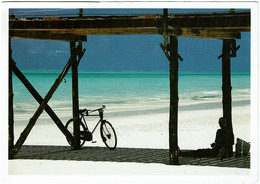 CPM Tanzanie, Zanzibar 2000, Beach Of Kiwengwa, Relaxing Under The Jetty, Timbre - Tanzanía