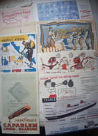 BUVARDS LOT 38 BUVARDS DIFFERENTS LE FRANCE ZORRO JOB MONTAGNE ALCOOLS DUBOUT PHARMACIE BEAUX GRAPHISMES BON ETAT 1950 - Collections, Lots & Series