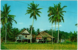 CPSM Malaysia Malaisie, Nalay Kampong Penang, Timbre, 1974 - Malaysia