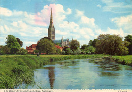 - SALISBURY. - The River Avon And Cathedral. - - Salisbury