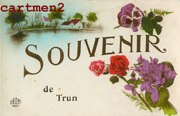 Delcampe - SOUVENIR DE TRUN CARTE FANTAISIE SOUVENIR 61 ORNE - Trun