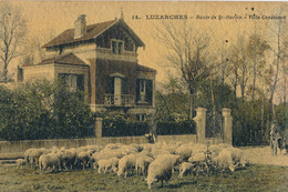 95) LUZARCHES : Route De St-Martin - Villa Constance - Luzarches