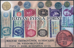 ** 2006 Hatvan éves A Forint Emlékív - Other & Unclassified