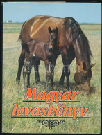 Magyar Lovaskönyv. Szerk.: Ernst József, Dr. Fehér Dezső, Dr. Ócsag Imre. Bp., 1988, Mezőgazdasági-Corvina. Rengeteg Szí - Ohne Zuordnung