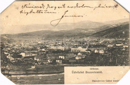 T4 1909 Bozovics, Bozovici; Látkép. Stanojlovics Gábor Kiadása / General View (lyukak és Levágott Sarkak / Pinholes And  - Unclassified