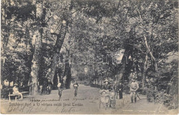 T3 1905 Torda, Turda; Széchenyi Liget A 13 Vértanú Emlékfával. Borza Zsigmond Kiadása / Park, Memorial Trees Of The 13 M - Unclassified