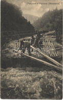 T3 1914 Visóvölgy, Valea Viseului; Tutajozás A Visóczon (Máramaros), Visó Folyó. Kiadja Benkő Miklós / Rafting On The Vi - Unclassified