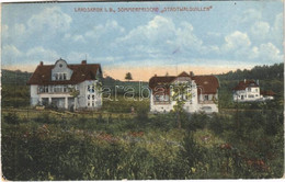 T2/T3 1918 Landskroun, Landskron; Sommerfrische "Stadtwaldvillen" / Villa, Holiday Resort. Verlag Moritz Mikesch (EK) - Unclassified