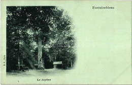 ** T1 Fontainebleau, Le Jupiter / Forest, Horse-drawn Carriage - Unclassified