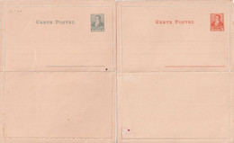 ARGENTINA - ENTIER POSTAL - 2 CARTE-LETTRES NEUVES - Postal Stationery