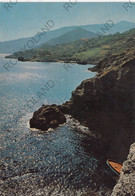 CARTOLINA  PORTO ERCOLE,GROSSETO,TOSCANA,LA COSTA,LUNGOMARE,SOLE,SPIAGGIA,BARCHE A VELA,ESTATE,VACANZA,VIAGGIATA 1981 - Grosseto