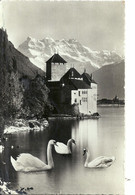 03 - 2021 - SUISSE - CANTON DE VAUD - VEYTAUX - CHILLON  CPSM PF Ou GF NB - Château De - Dents Du Midi - Hauteur - Veytaux