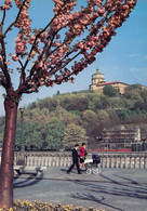 02400 "TORINO - MONTE DEI CAPPUCCINI" ANIMATA. CART NON SPED - Panoramische Zichten, Meerdere Zichten