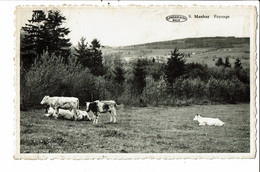 CPSM Carte Postale-Belgique-Manhay Paysage VM28643 - Manhay