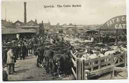 8987 - Royaume Uni -  IPSWICH ( Soffolk) - THE CATTLE MARKET -Chevaux , Boeufs , Personnages,  Photog. SMITHS Vers 1908 - Ipswich