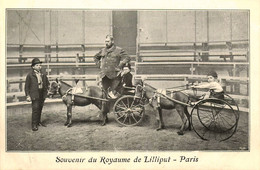 Souvenir Du Royaume De LILLIPUT Paris * 4 CPA * Cirque Circus Phénomène Nain Nains Nanisme Dwarf * Lilliput * Cachets - Circus