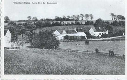 Wauthier-Braine - Lieu-dit Le Sacrement - Pas Circulé - TBE - Braine-le-Chateau - Braine-le-Château