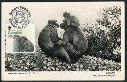 GIBRALTAR (2020). Carte Maximum Card - Barbary Macaque (Macaca Sylvanus), Rock Ape, Mono, Macaque Barbarie, Berberaffe - Gibilterra