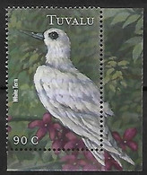 Tuvalu -  MNH ** 2000 :     White Tern  -  Gygis Alba - Meeuwen