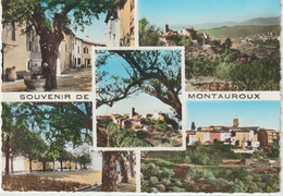 Var :  MONTAUROUX  : Vues - Montauroux