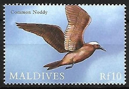 Maldives - MNH ** 2000 :  Brown Noddy  -  Anous Stolidus - Möwen