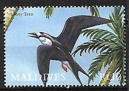 Maldives - MNH ** 2000 :   Sooty Tern  -  Onychoprion Fuscatus - Seagulls