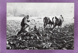 88 Vosges Vieux Métiers N° 5 LE LABOUREUR  1975   Photo Joel COUCHOURON Sapois Vagney - Paysans