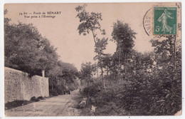 8619 - Forêt De Sénart  ( 91 ) - Vue Prise à L'Ermitage - M. Mulard éd. à Yerres - - Sénart